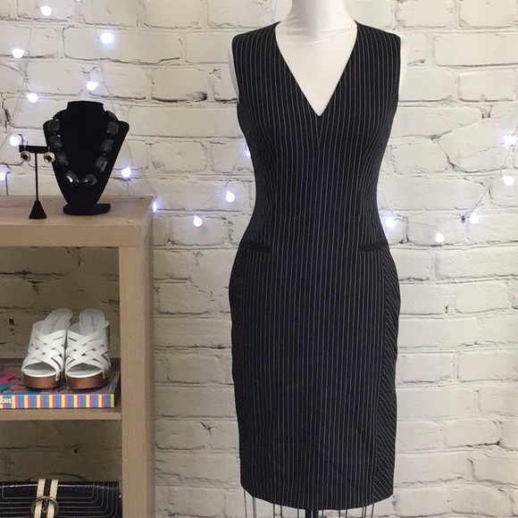 Altuzarra Dresses & Skirts - Altuzarra Navy Pinstripe Pencil Dress FRENCH size 34